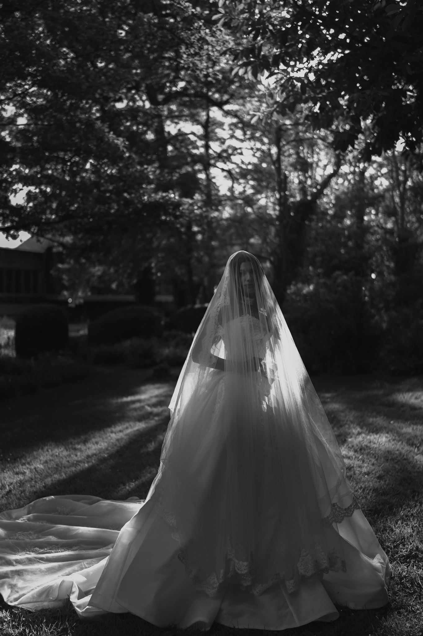 Bride beneath a long veil, backlit under the trees
